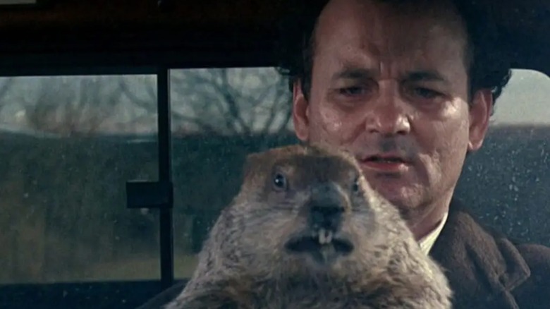 Phil Connors driving with a groundhog in "Groundhog Day"