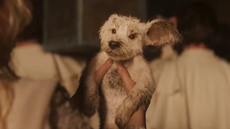 Kara holding Krypto in Supergirl