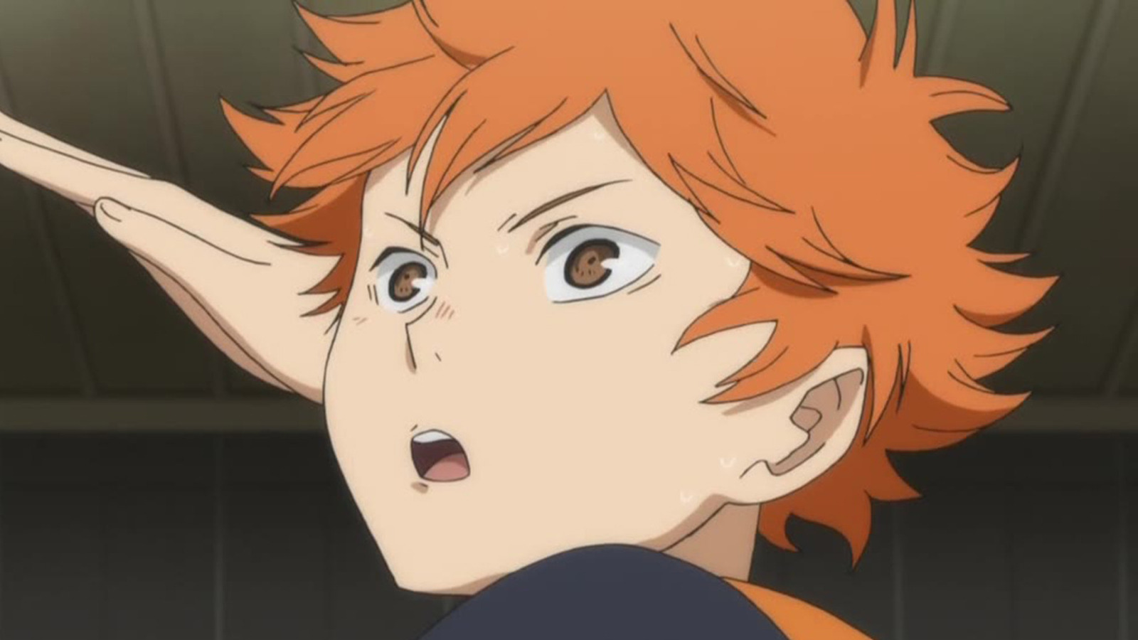 Petition · Make Haikyuu season 4 dubbed! ·