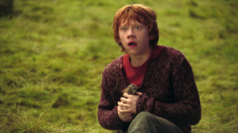 Ron holding Scabbers in a field looking scared in Harry Potter and the Prisoner of Azkaban