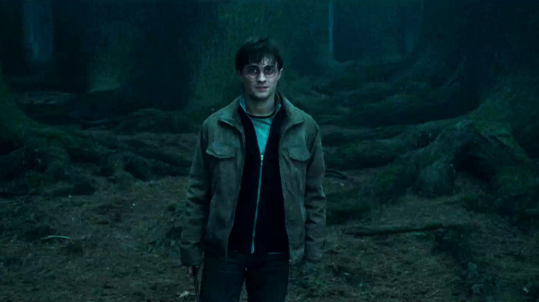 Harry standing in the Forbidden Forest ready to approach Voldemort in Harry Potter and the Deathly Hallows - Part 2