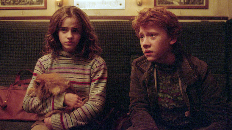 Hermione holding Crookshanks on the Hogwarts Express next to a worried Ron in Harry Potter and the Prisoner of Azkaban