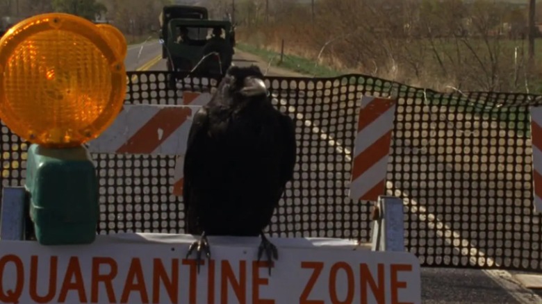 A raven in Stephen King's The Stand (1994)