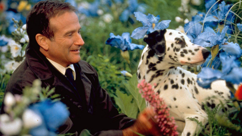 Dr. Chris Nielsen with a pooch in heaven in What Dreams May Come (1998)
