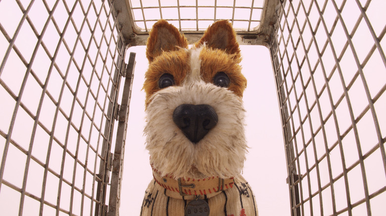 Boss in cage in Isle of Dogs