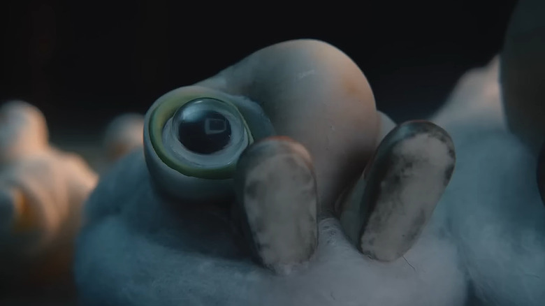 Marcel laying down in Marcel the Shell With Shoes On