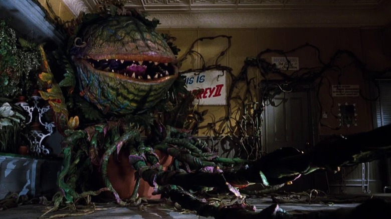 Audrey II in her peak form