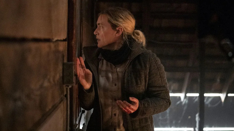 Mare peers through a window in Mare of Easttown