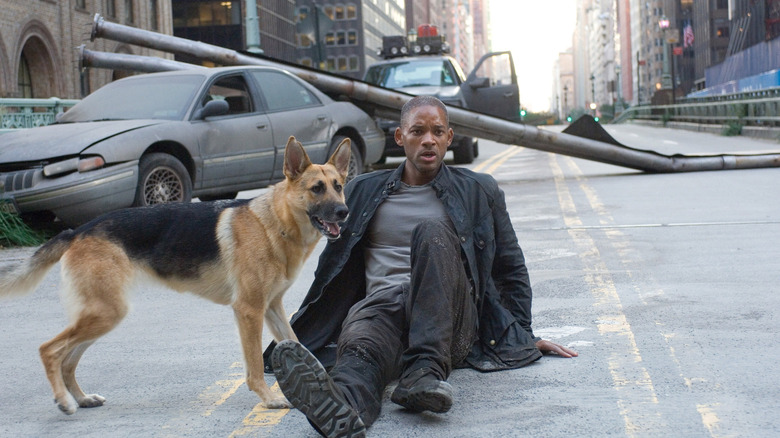 Robert Neville and his dog looking concerned in the road in I Am Legend (2007)