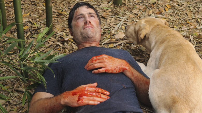 Jack and Vincent the dog stare into the future in "Lost"
