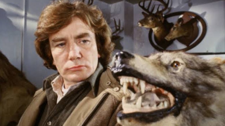 Albert Finney looks at wolf