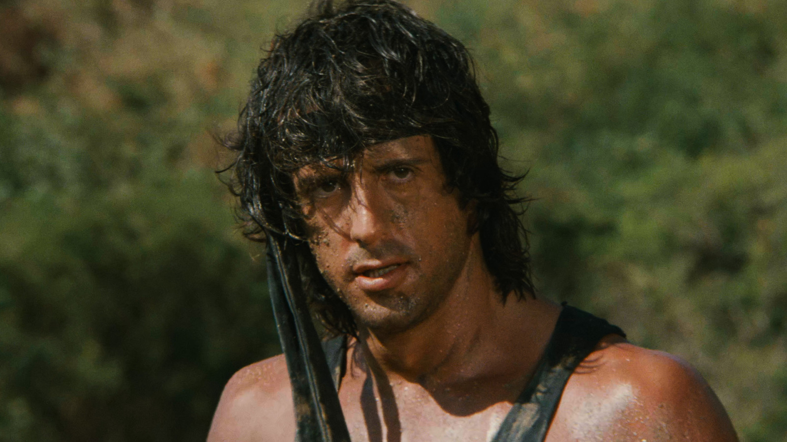 15 Best Action Movie Stars Of All Time Ranked