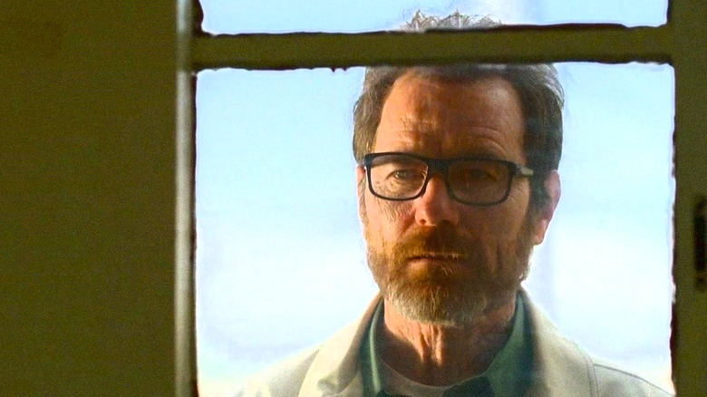 Walter looking pensively inside through a window from the outside on a sunny day