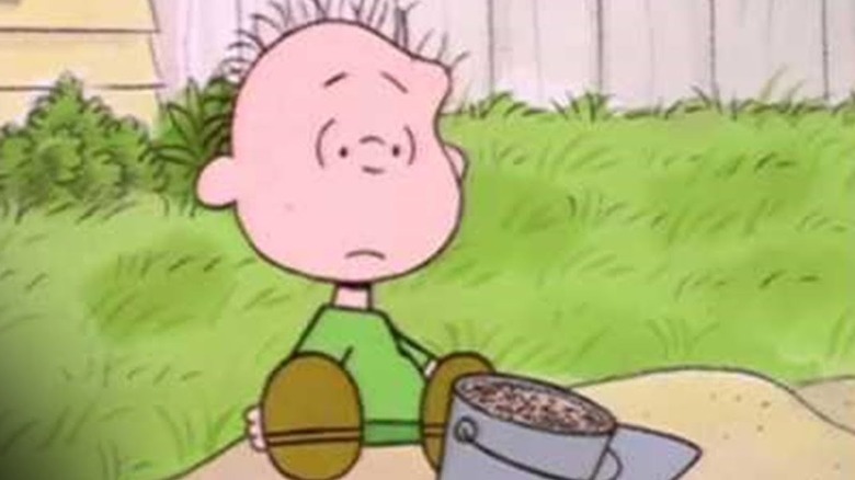 Rerun Van Pelt sitting in sandbox