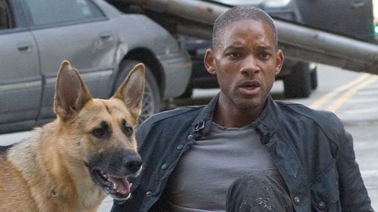 Robert sitting on the street with his dog in "I Am Legend"
