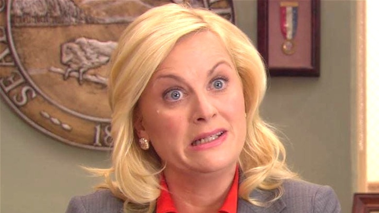 Leslie Knope headshot