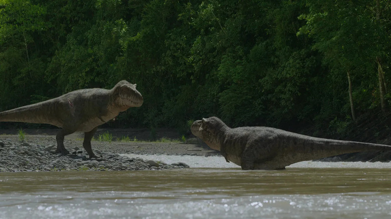 Two Tyrannosaurus Rexes face off while one wades in the river in "Prehistoric Planet"