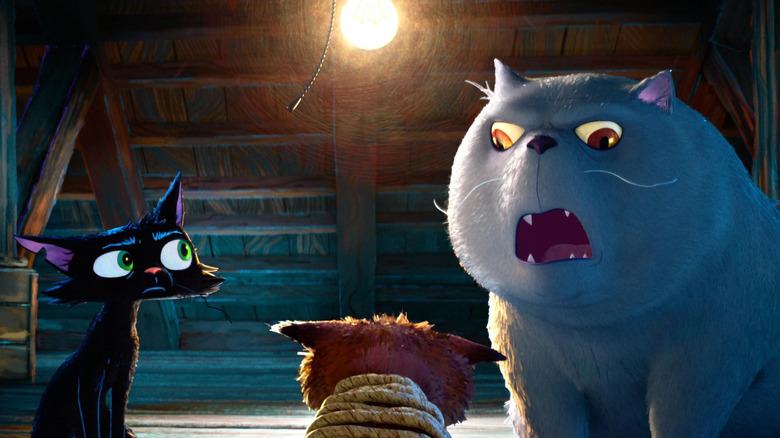 Nero and Rocco talking to another cat in "Gatto" (2027)