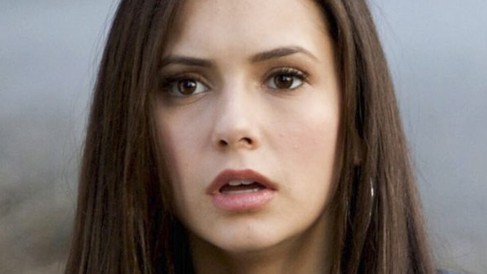 The Vampire Diaries' Cast: Where Are They Now? – The Hollywood