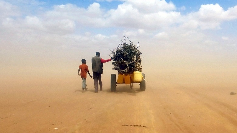 Refugees on the road