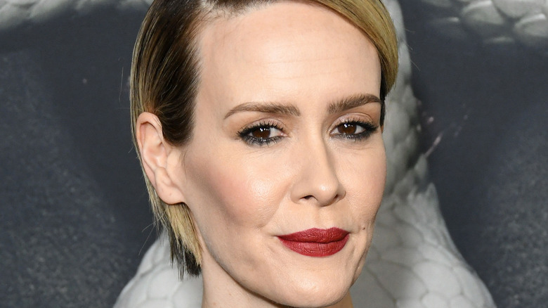 Sarah Paulson stars in "American Horror Story"