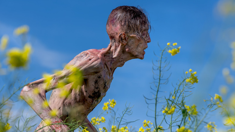 Zombie prowling through a field of flowers in 