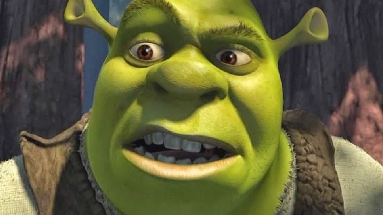 Closeup on Shrek's face