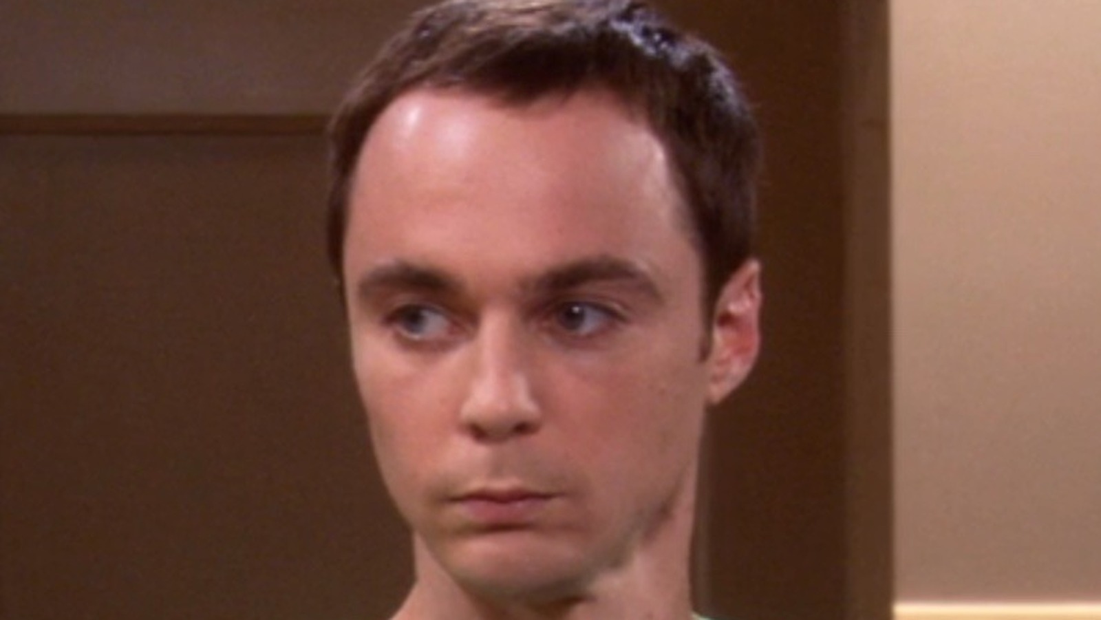 32 Of Big Bang Theory Fans Agree This Character Would Make The Best