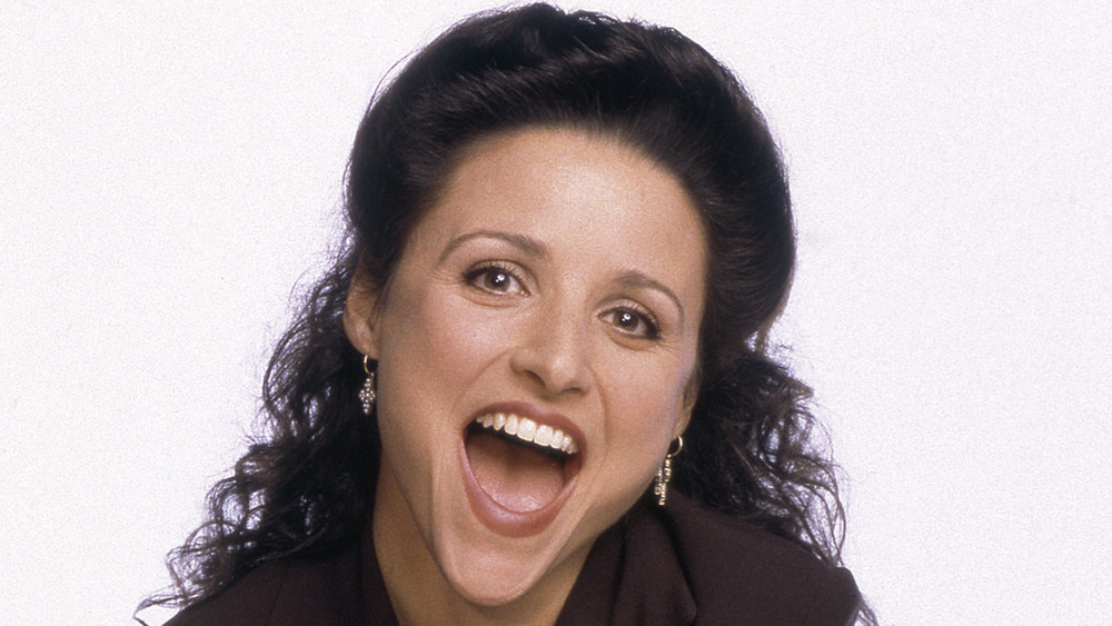 Elaine Benes Seinfeld