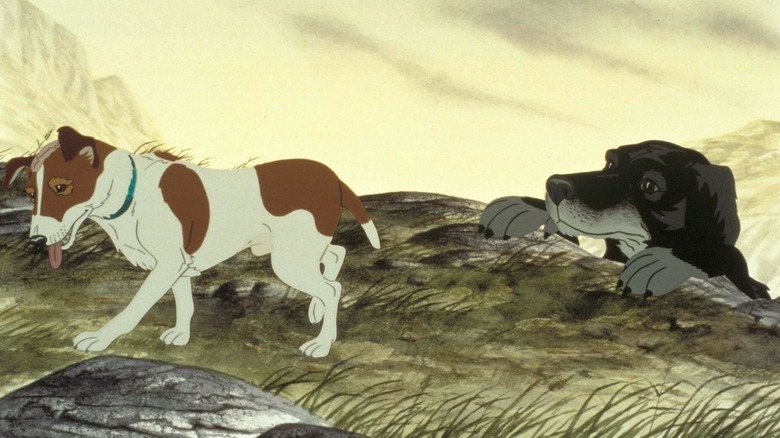 Snitter and Rowf gathering their bearings in The Plague Dogs (1982)