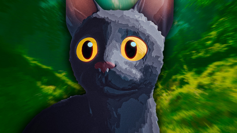 A gray cat staring in front of a green background in 