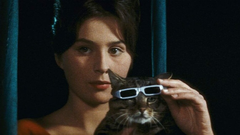 The sunglasses wearing cat's circus act in When The Cat Comes (1963)