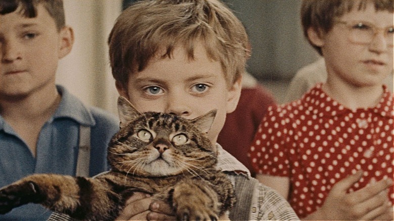 A boy holding the sunglasses wearing cat in When The Cat Comes (1963)