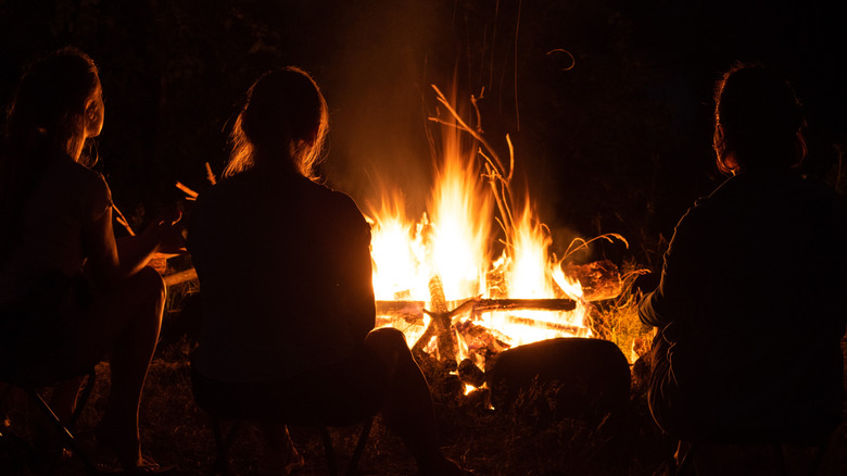 Young people sitting around a camp fire