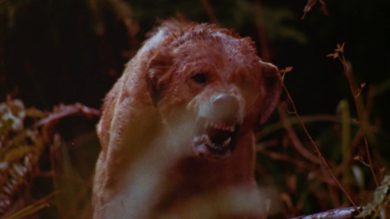 Dog snarling in grass in "The Pack"