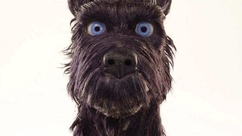 Chief staring forward in Isle of Dogs