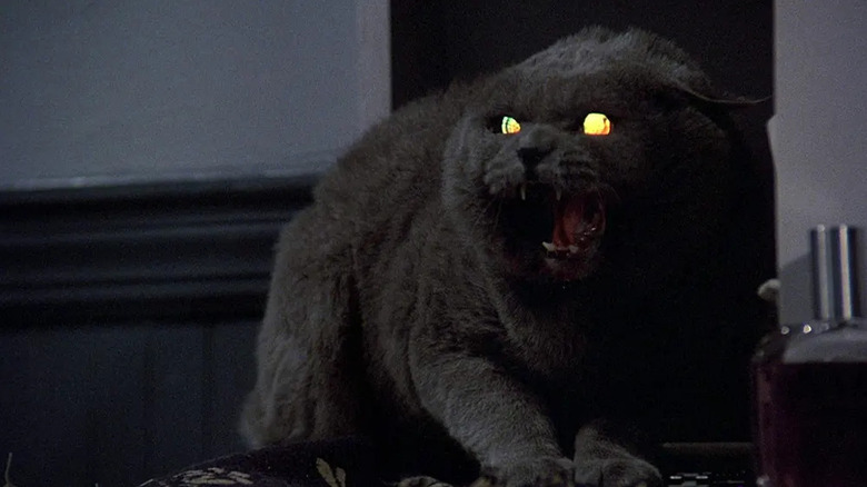 Church hissing in Pet Sematary