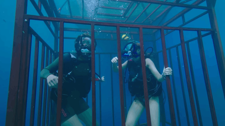 Two swimmers in a cage underwater in 47 Meters Down (2017)