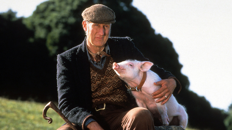 Babe sitting with his owner in Babe (1995)
