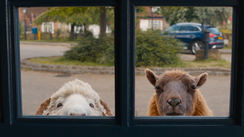 Mopple and Lily peeking through a window in The Sheep Detectives