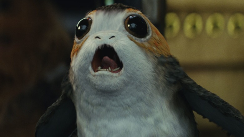 A Porg bellowing in Star Wars: The Last Jedi (2017)