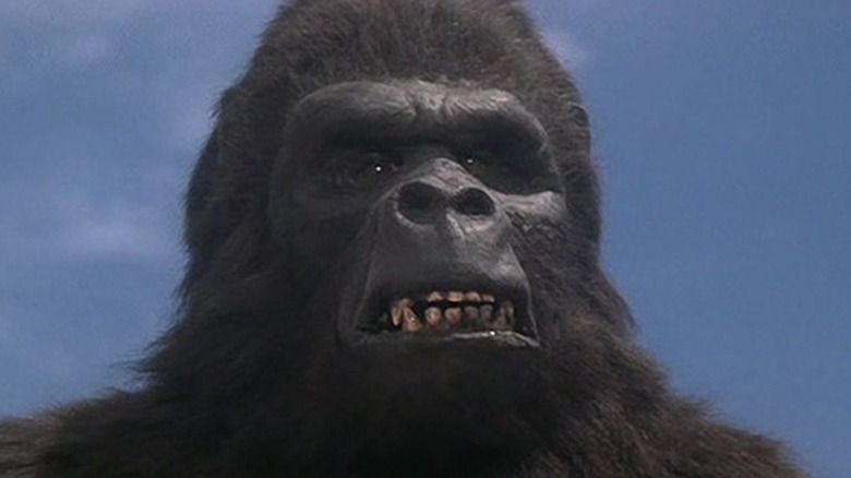King Kong flashing a tortured grin in King Kong Lives (1986)
