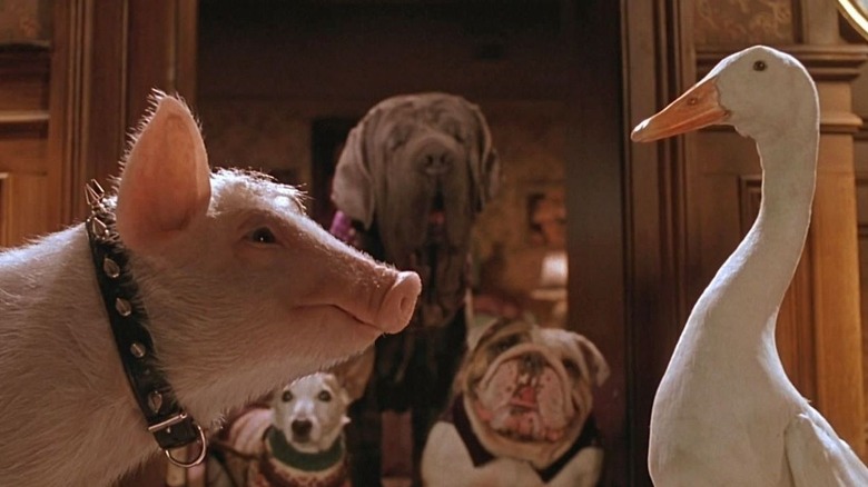 Ferdinand arrives at Babe's hotel in Babe: Pig in the City (1998)