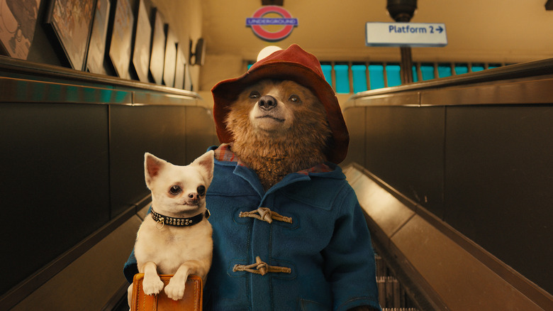 Paddington holding a small white dog on the down escalator in the London tube in Paddington