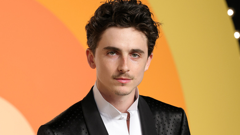 Timothée Chalamet standing in front of a colorful wall and lights