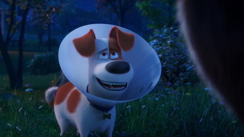 Max explaining his cone in "The Secret Life of Pets 2"