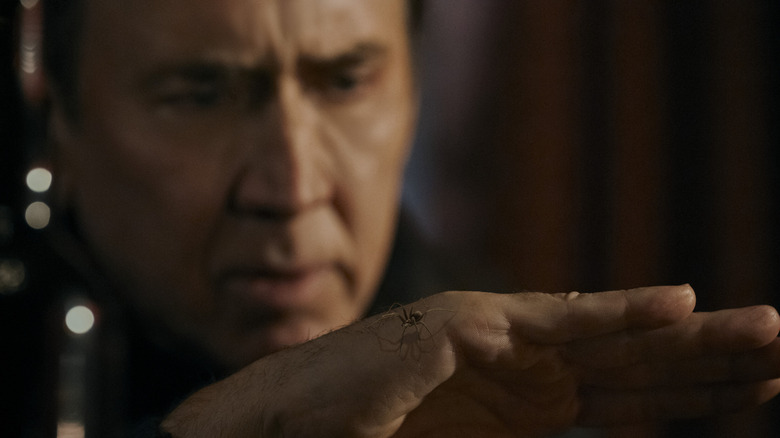 Ben Reilly looking at a spider on his hand on Spider-Noir