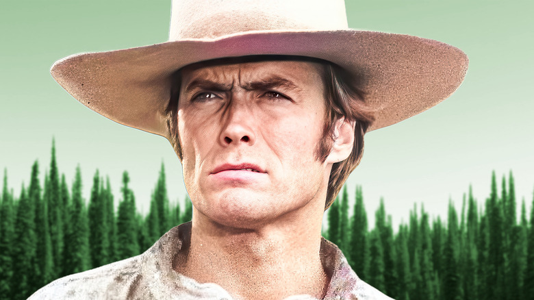 Pardner looking disgruntled against a cluster of trees (2026)