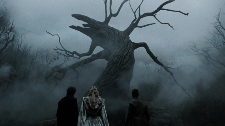 Gnarled tree in mist