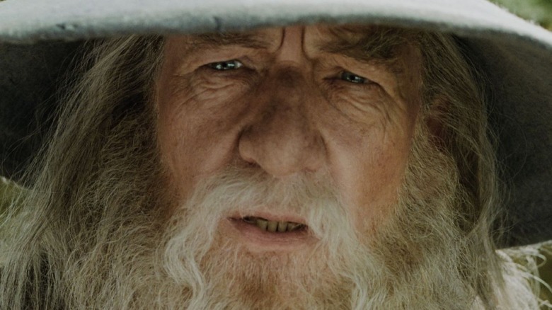 Gandalf the Grey looking forward